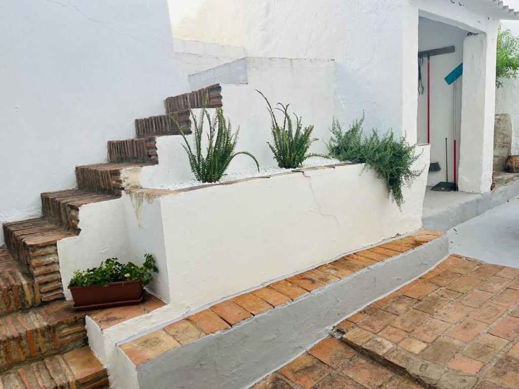 Casa Rural Dona Catalina خيمينا دي لا فرونتيرا المظهر الخارجي الصورة
